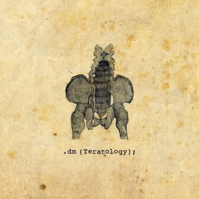 .dm - Teratology cover art