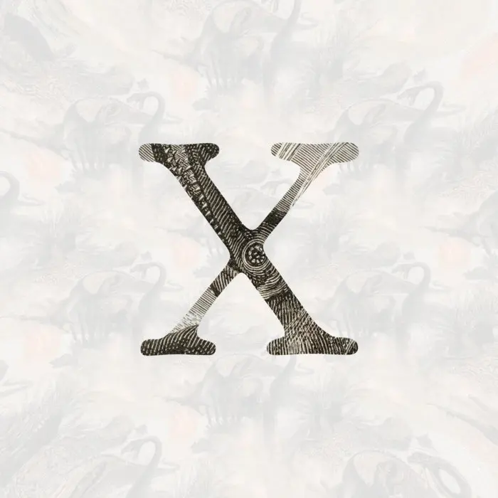 Futurología - X cover art